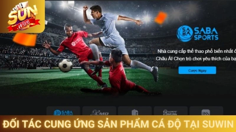 Đối tác cung ứng sản phẩm cá độ tại Suwin