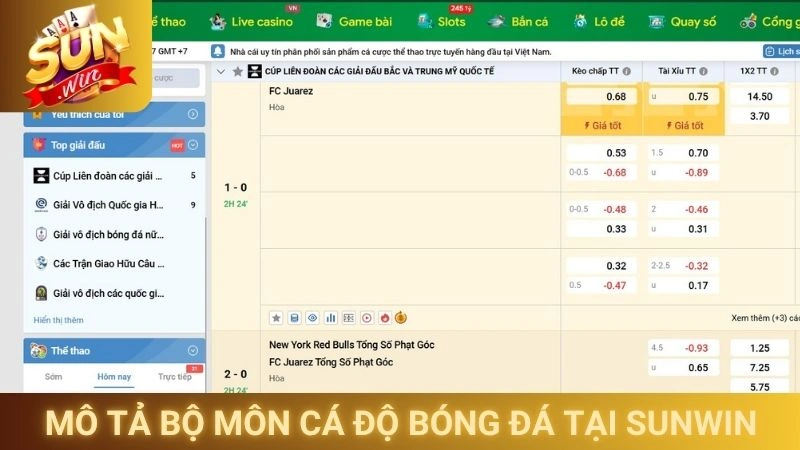 Mô tả bộ môn cá độ bóng đá tại Sunwin
